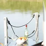 Floss 2 Priepert