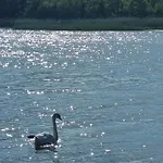 Floss 2 * Priepert